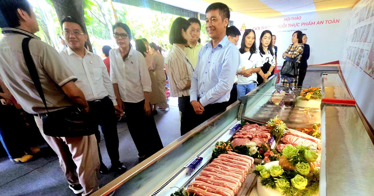 Với hơn 2,5 triệu học sinh, TP.HCM làm gì để suất ăn học đường được an toàn?