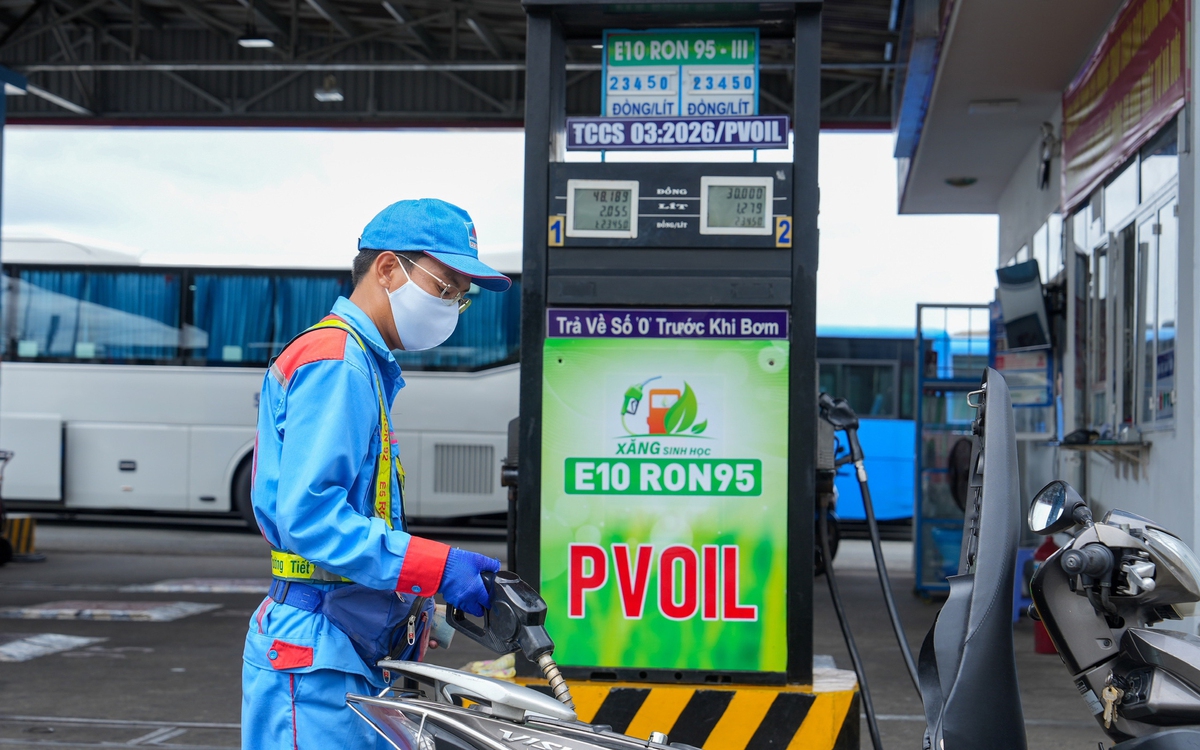 Biofuel gasoline: Impacts thoroughly assessed