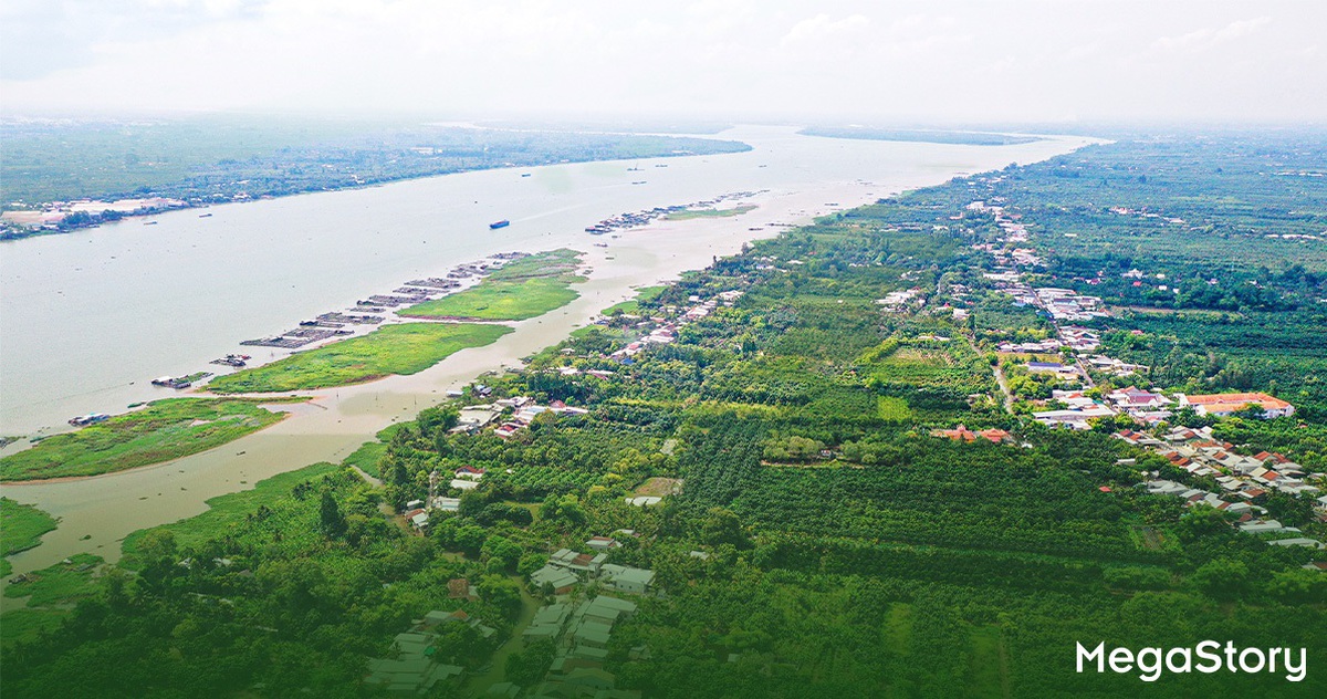 Cù Lao Giêng - vùng đất phù sa thức giấc giữa dòng sông Tiền