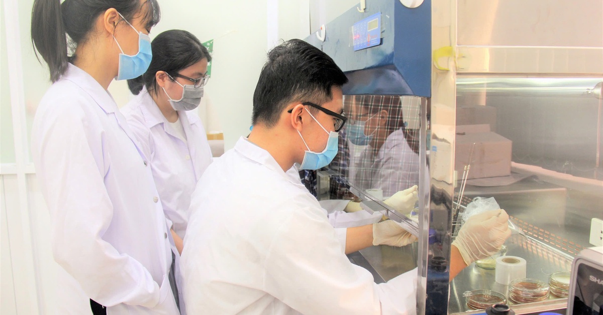 TP.HCM sẽ đặt hàng đào tạo nhân lực cho kinh tế công nghệ cao