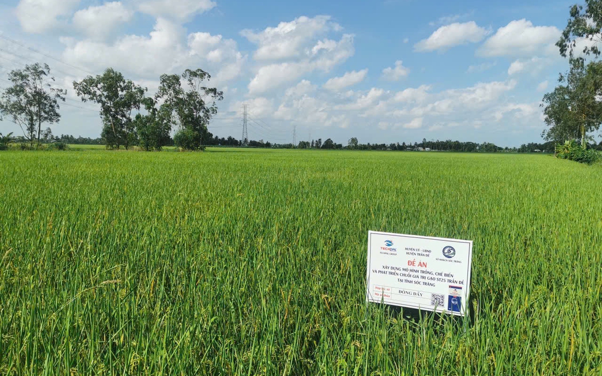 Thúc đẩy chuyển đổi xanh trong nông nghiệp