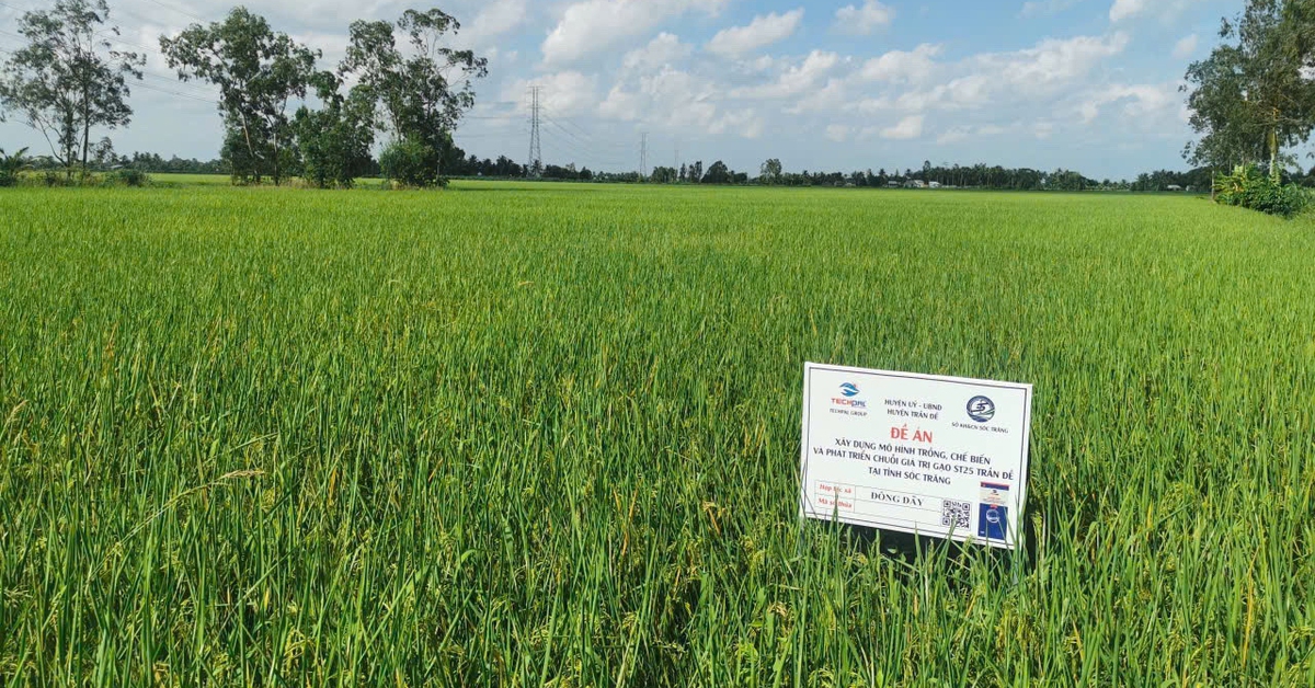 Thúc đẩy chuyển đổi xanh trong nông nghiệp