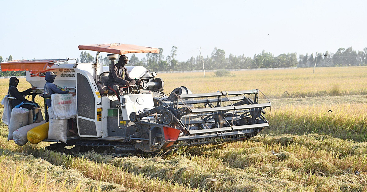 ĐBSCL: Bước ngoặt lịch sử trở thành hình mẫu nông nghiệp carbon thấp của châu Á