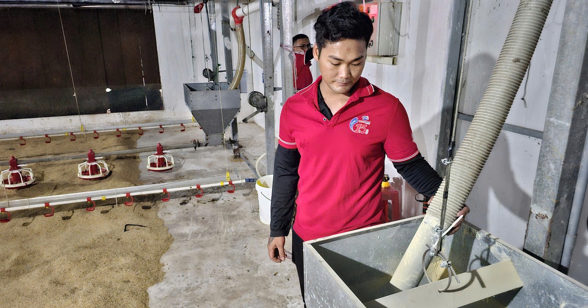 Từ cánh đồng xanh tới trang trại xanh