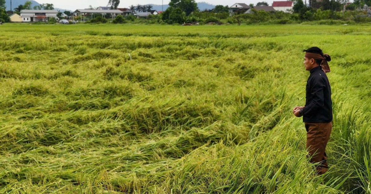 Người dân Nghệ An 'quay cuồng' vì mưa đá, dông lốc