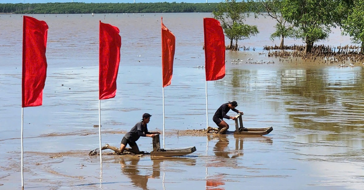 Cần Thơ lần đầu tổ chức giải đua mong độc đáo