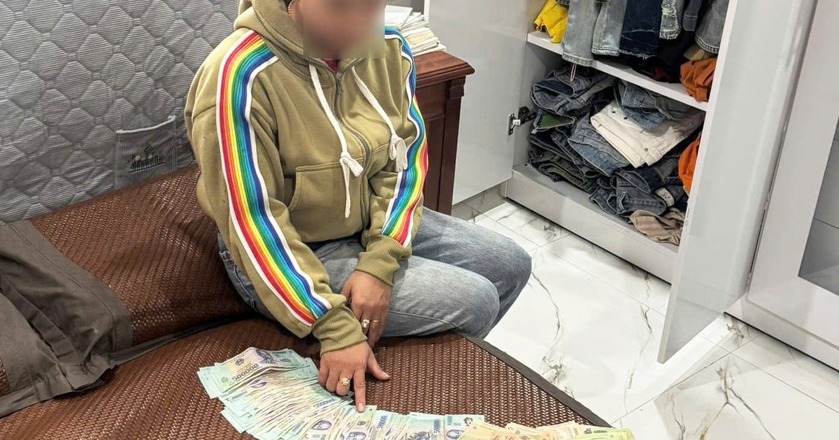 Người phụ nữ đánh tráo 'heo đất' nhà người khác, trộm hàng chục triệu đồng