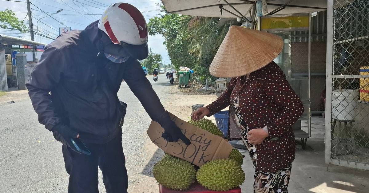 Sầu riêng tràn xuống đường: Sự thật đằng sau bảng giá '20k/kg'