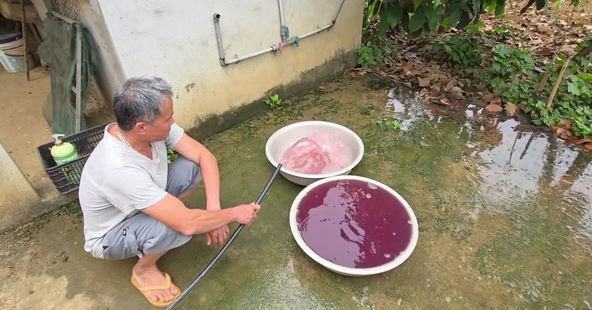 Vụ nước giếng đổi màu tím ở Thanh Hóa: Nhiều mẫu nước có chỉ tiêu không đạt
