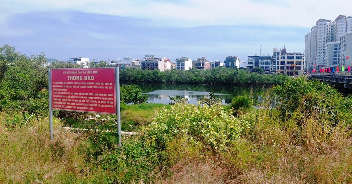 Cây mọc trái thiết kế, cản thoát lũ ở Nha Trang: Tiếp tục xin ý kiến để xử lý