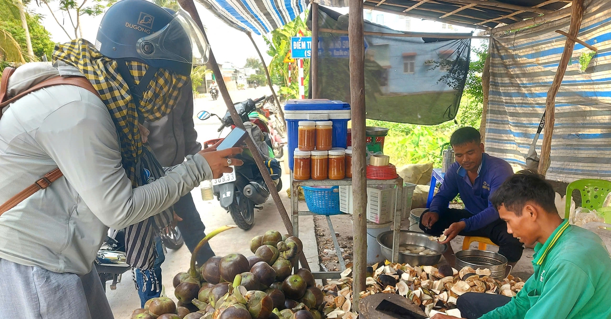 Du khách về phum sóc An Giang thưởng thức sản phầm từ cây thốt nốt thơm ngọt, mát lành