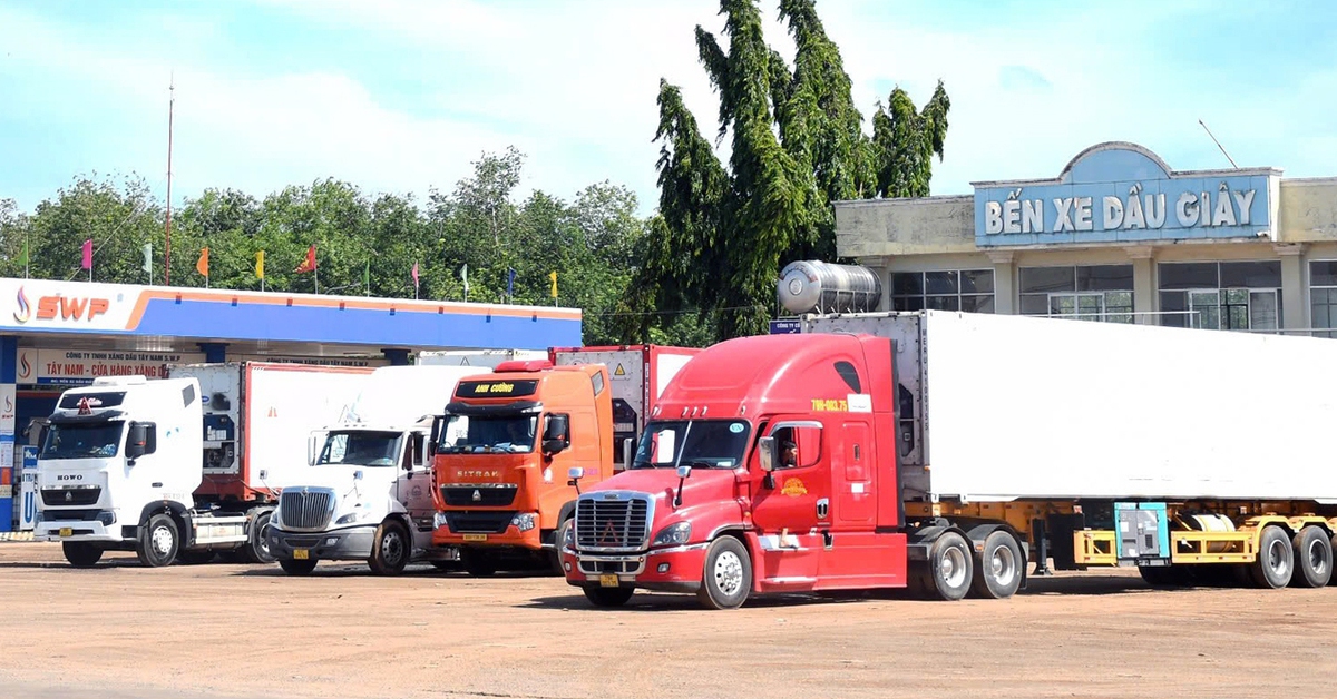 Ùn tắc container chở sầu riêng: Doanh nghiệp ở Cần Thơ thuê bến xe làm điểm lấy mẫu kiểm định