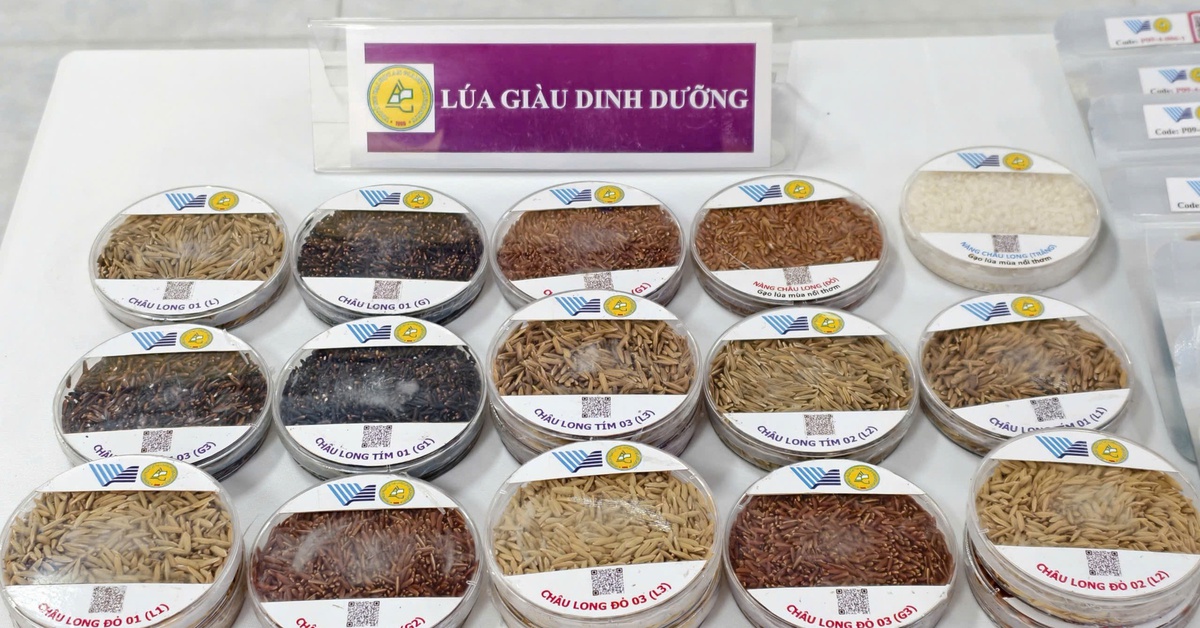 Ra mắt Hợp tác xã 'lúa mùa nổi' Vĩnh Gia và ký kết '4 nhà'