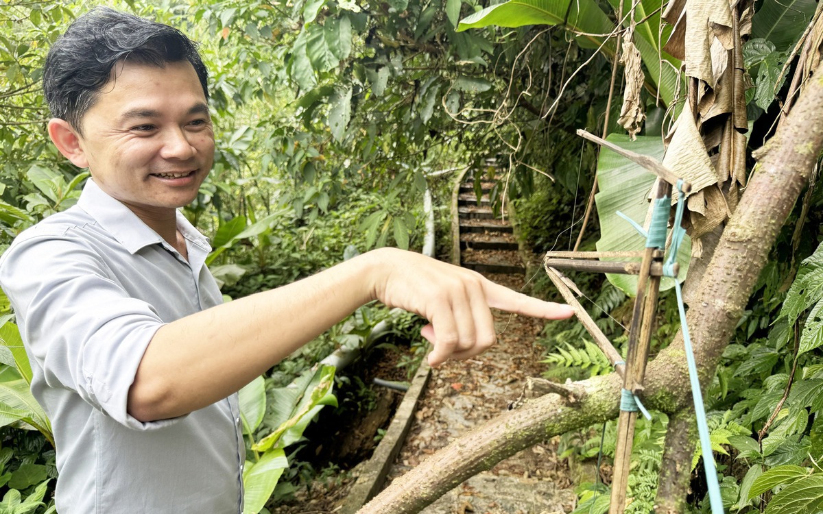 Người Xê Đăng bày ma trận bẫy bắt 'ông Tý' trộm sâm Ngọc Linh