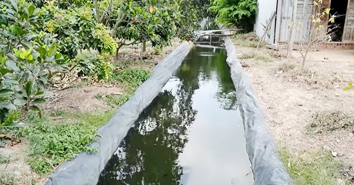 Trữ nước chống hạn, cẩn thận mầm bệnh từ muỗi