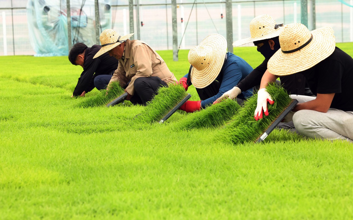 Hàn Quốc miễn bảo hiểm chăm sóc dài hạn cho lao động thời vụ nước ngoài