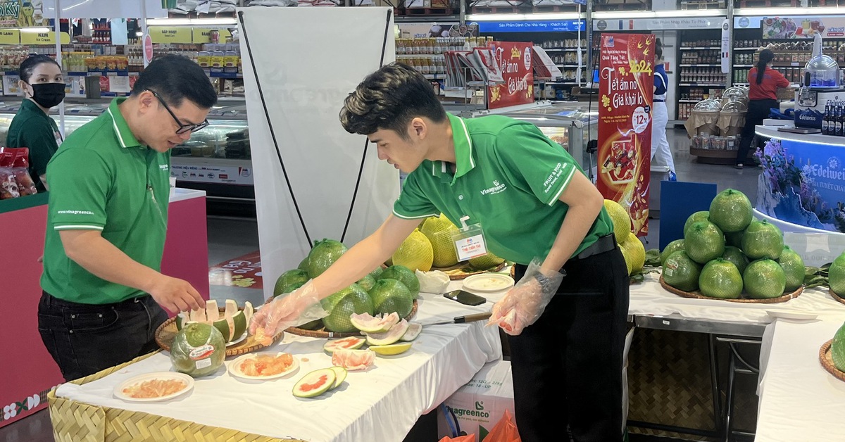 Từ vỏ trái cây bị lãng quên đến giấc mơ nông nghiệp xanh