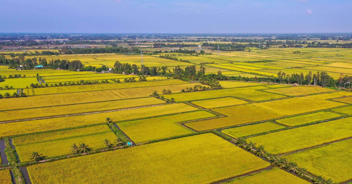 Nông nghiệp Việt Nam trước ngã rẽ mới