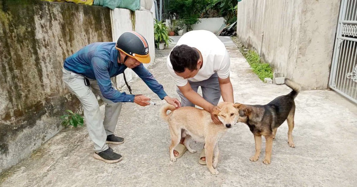 Con chó nghi mắc bệnh dại cắn liên tiếp 6 người ở Nghệ An