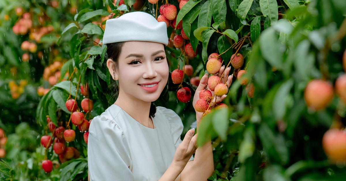Giá vải thiều tăng mạnh chưa từng có