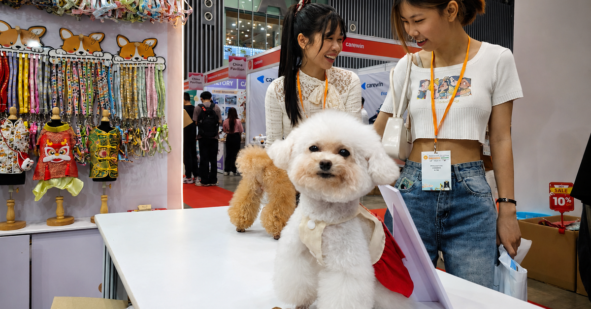 Boss mèo giờ có cả phòng vệ sinh gắn camera AI