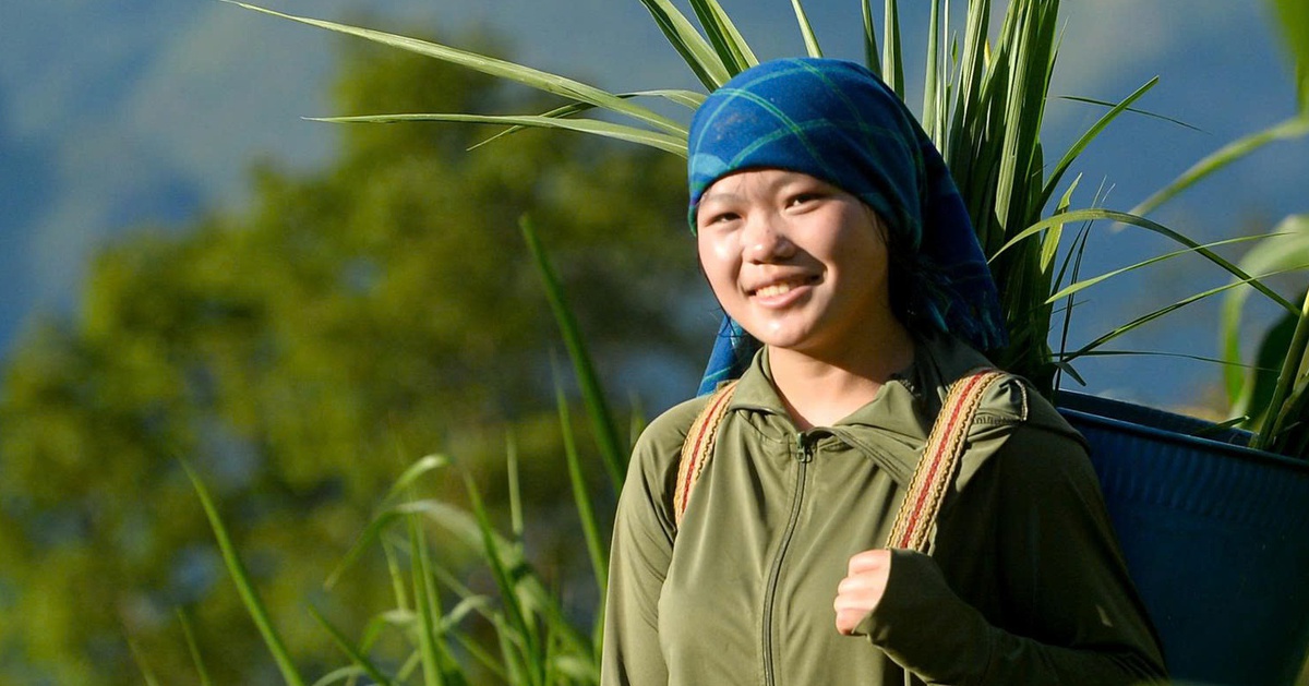 'Cú ơi, đừng bỏ cuộc': Nữ sinh H’Mông mang ước nguyện của bố đi thi tốt nghiệp