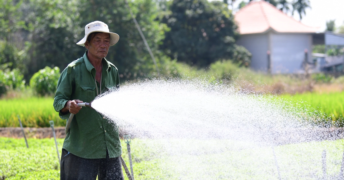 Dạy nhà nông nghệ thuật đặt câu hỏi cho AI