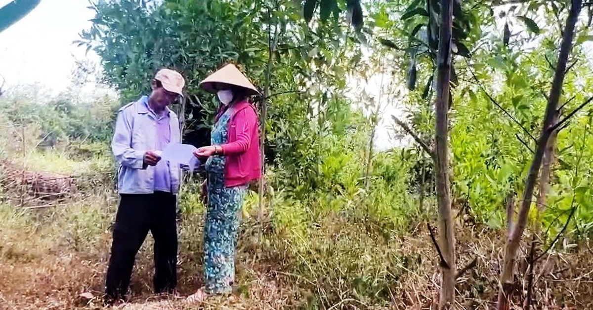 Thu hồi dự án FLC nhưng 'quên' hủy quyết định thu hồi đất