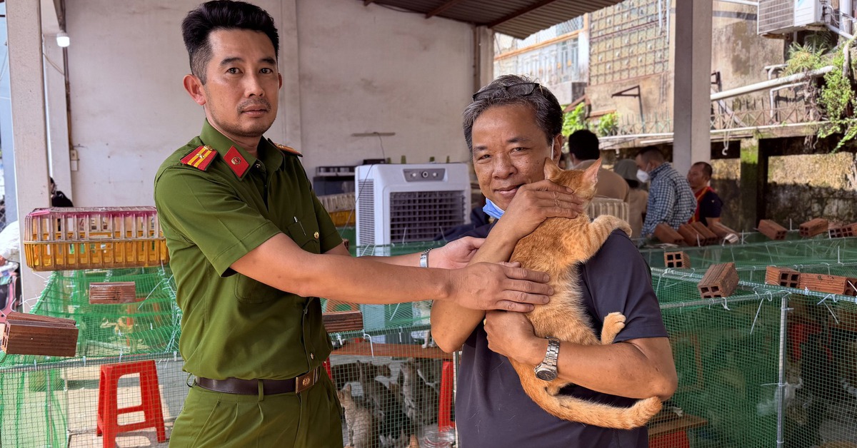 Đi tìm mèo cưng chỗ mấy chú công an phòng hình sự