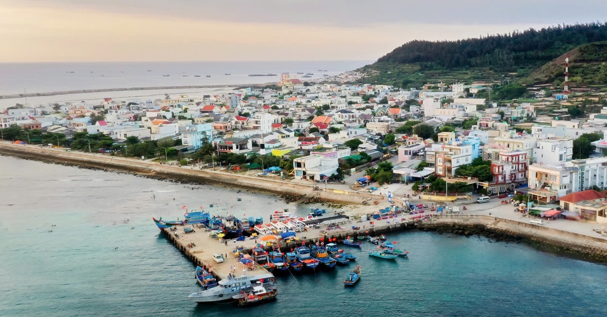 Cấm nuôi yến tại đảo Lý Sơn