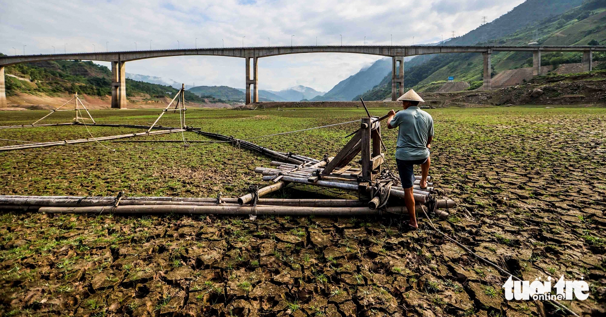 El Nino đã hình thành và có thể nằm trong nhóm mạnh nhất kể từ năm 1950