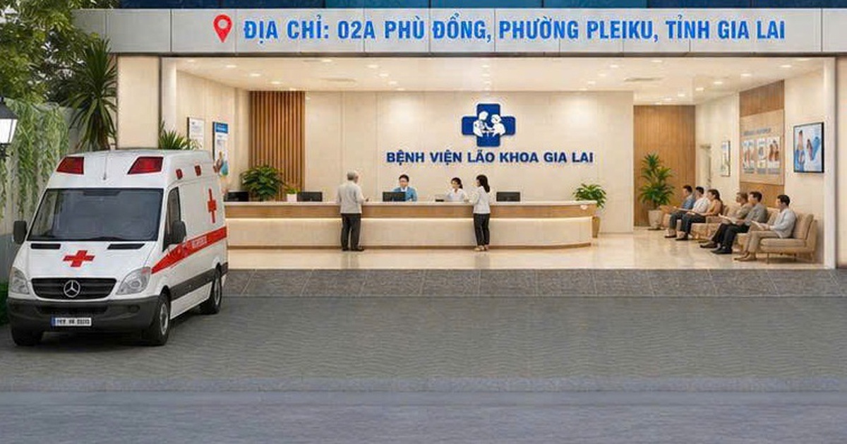 Đầu tư bệnh viện chuyên biệt phục vụ người cao tuổi tại Gia Lai