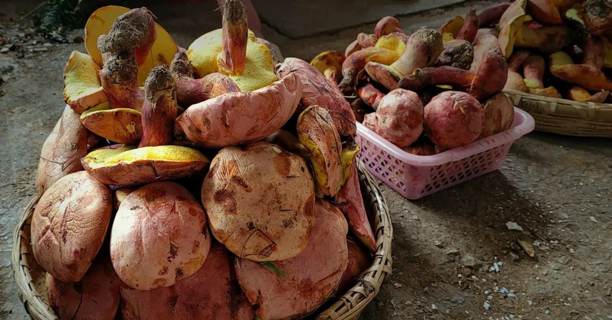 Ăn nấm gây ảo giác, người đàn ông Trung Quốc trèo ra khỏi căn hộ tầng 27 'tu tiên'