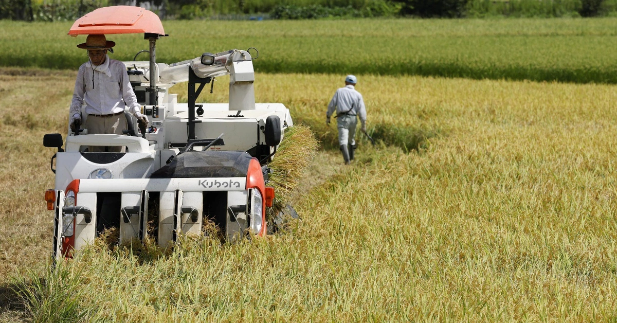 Tác dụng phụ của kế hoạch giảm thuế thực phẩm tại Nhật Bản