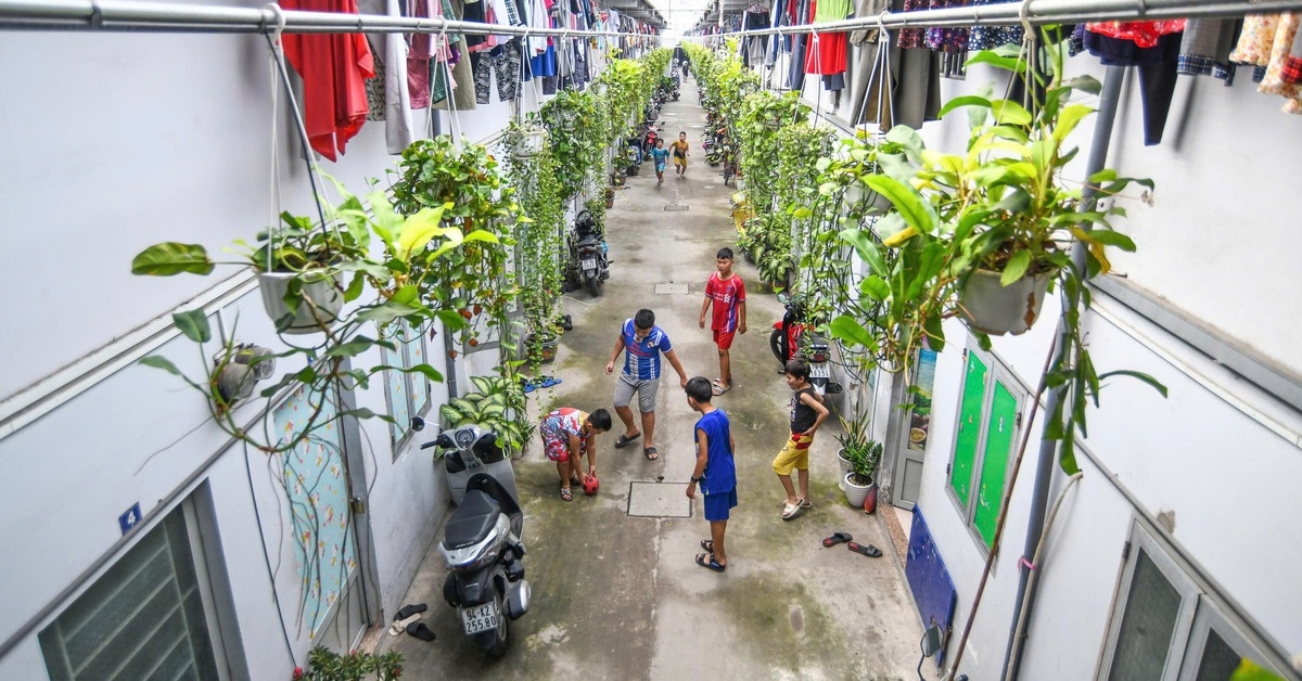 Để xây nhà ở cho thuê là 'thượng sách'