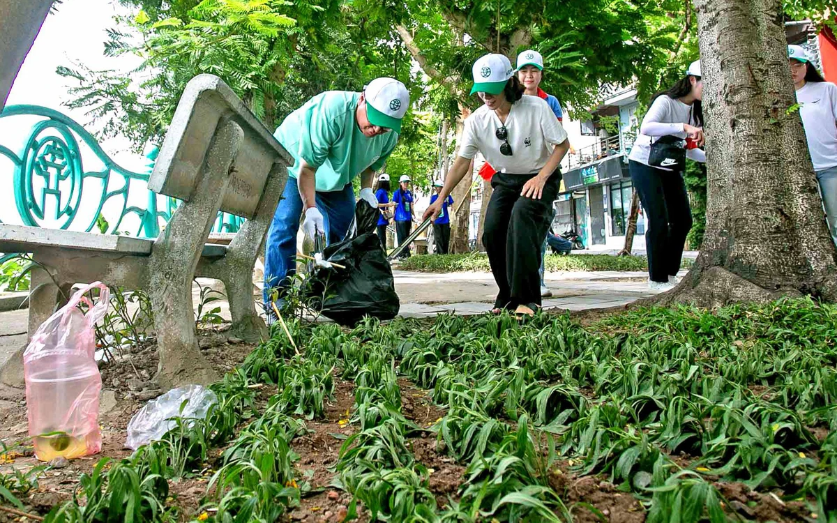 Hồ Tây đang chịu nhiều áp lực từ đô thị hóa