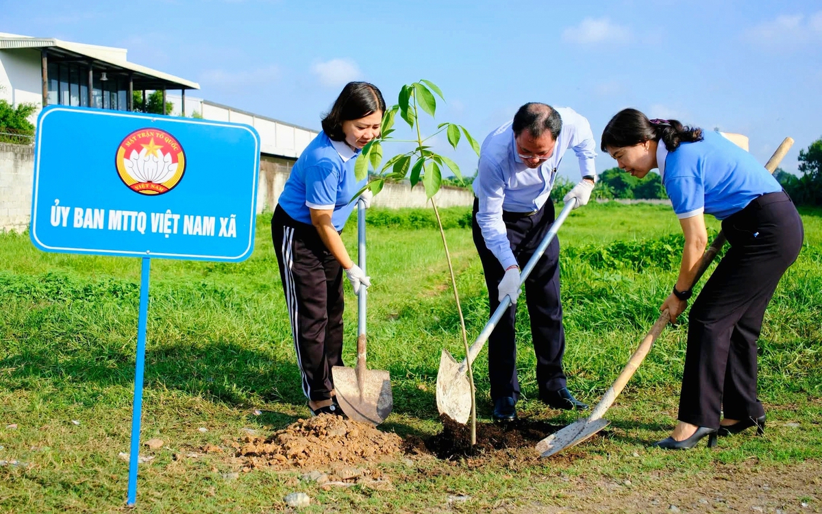 Củ Chi ra quân trồng 400 cây xanh, hưởng ứng phong trào 'Thành phố muôn sắc hoa'