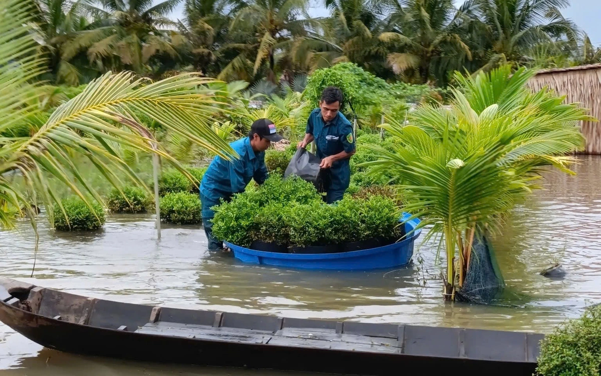 Sa Đéc mời chuyên gia tìm giải pháp chống ngập đô thị do mưa và triều cường