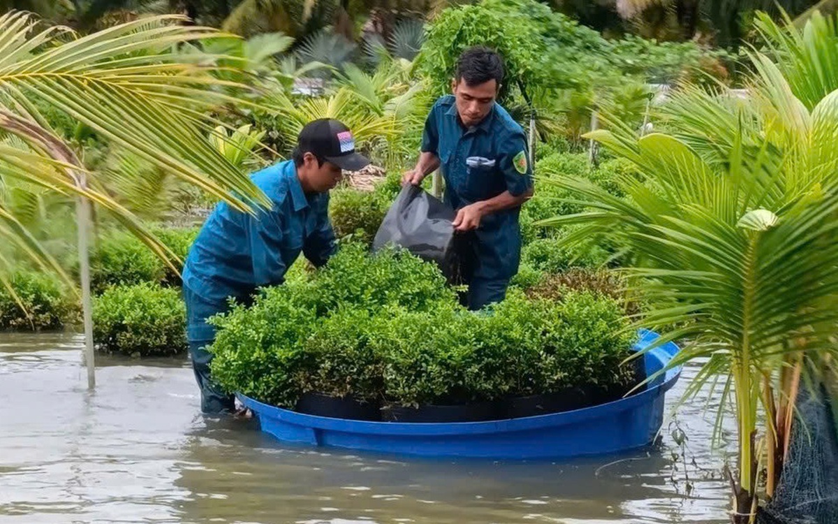 Sa Đéc mời chuyên gia tìm giải pháp chống ngập đô thị do mưa và triều cường