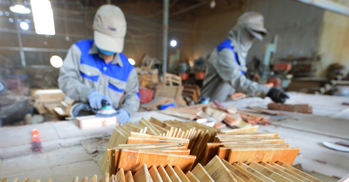 Bộ Nông nghiệp và Môi trường nói gì về phản ánh hồ sơ chứng minh nguồn gốc gỗ chồng chéo