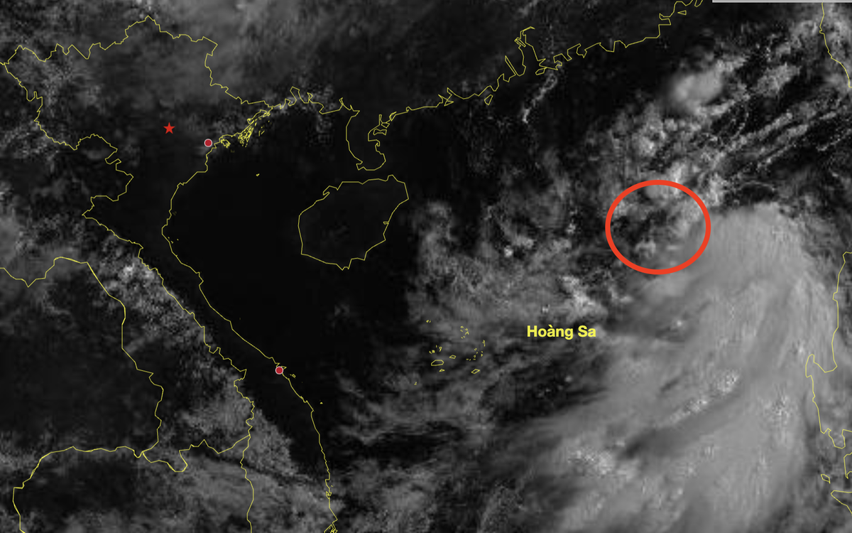 East Sea tropical depression unlikely to become typhoon, poses little threat to Vietnam