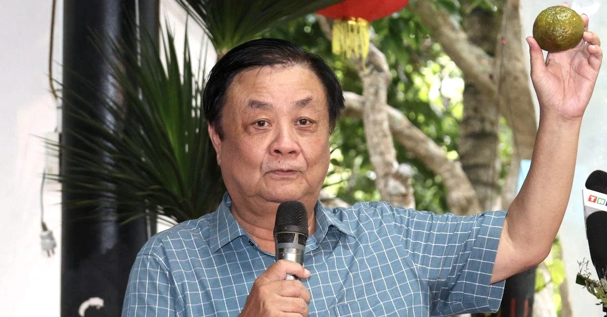 Nông dân phải có nguồn thu khác từ trái cam, trái dừa, củ khoai lang