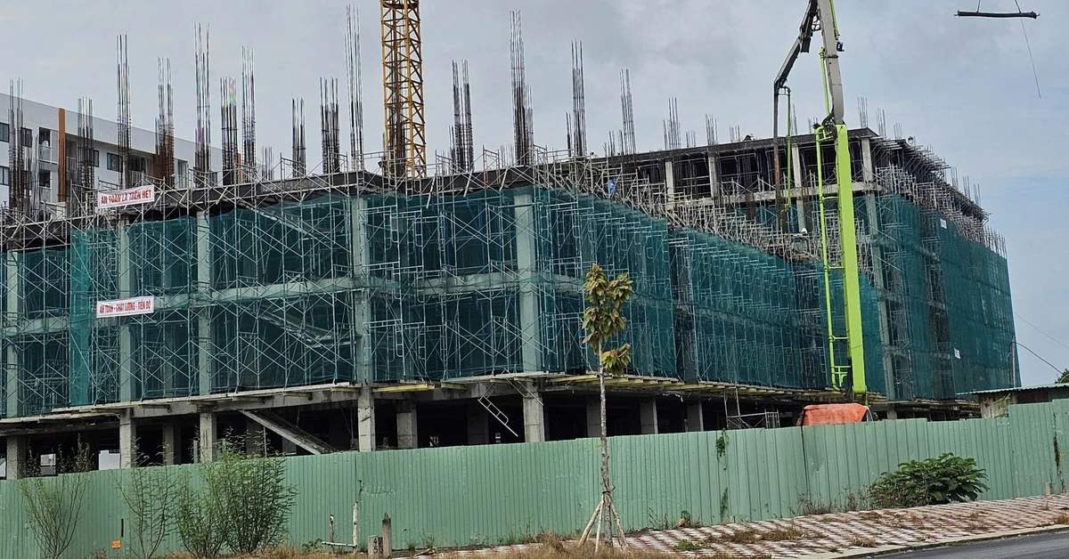 Chính phủ giao 3.000 căn nhà ở xã hội, Cần Thơ xây hơn 3.300 căn