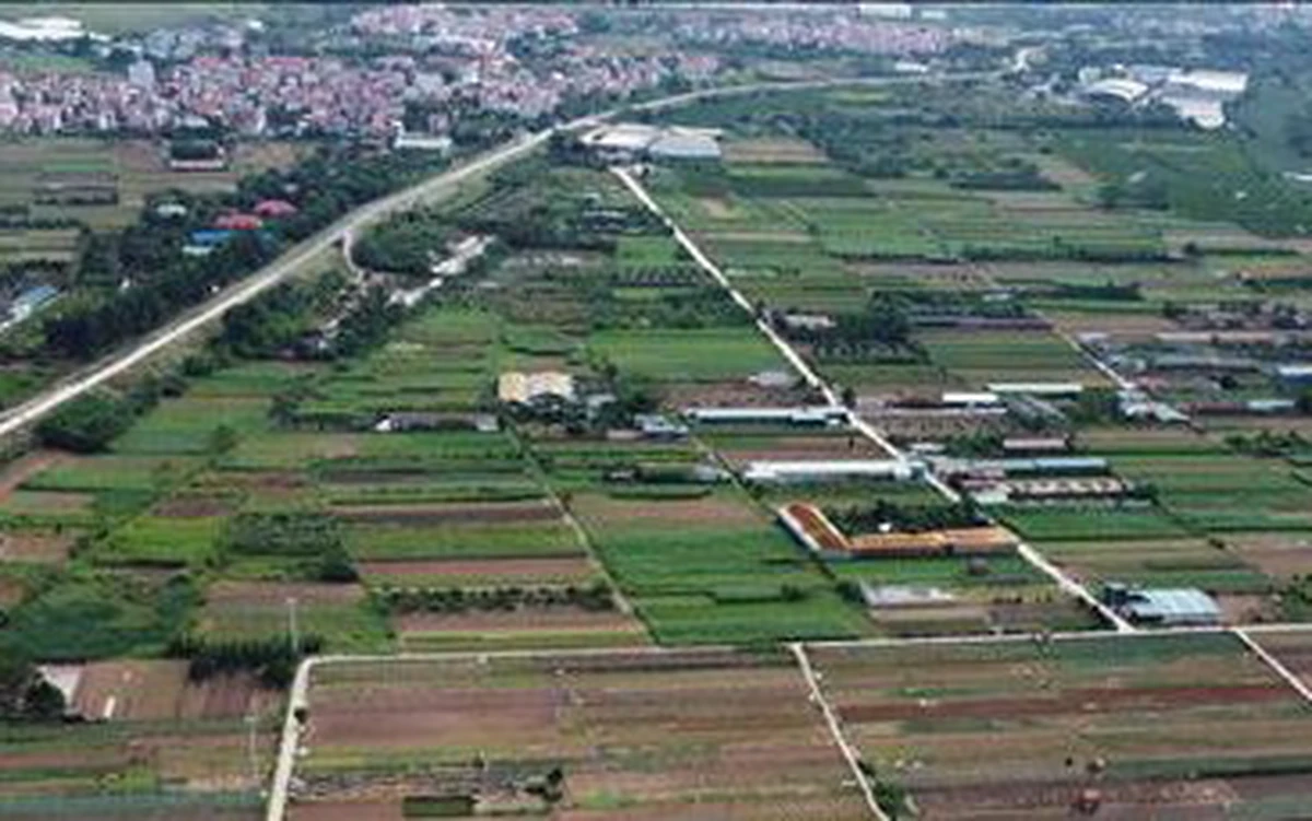 Nhận diện chiêu trò thổi giá, lừa đảo từ các phiên đấu giá đ