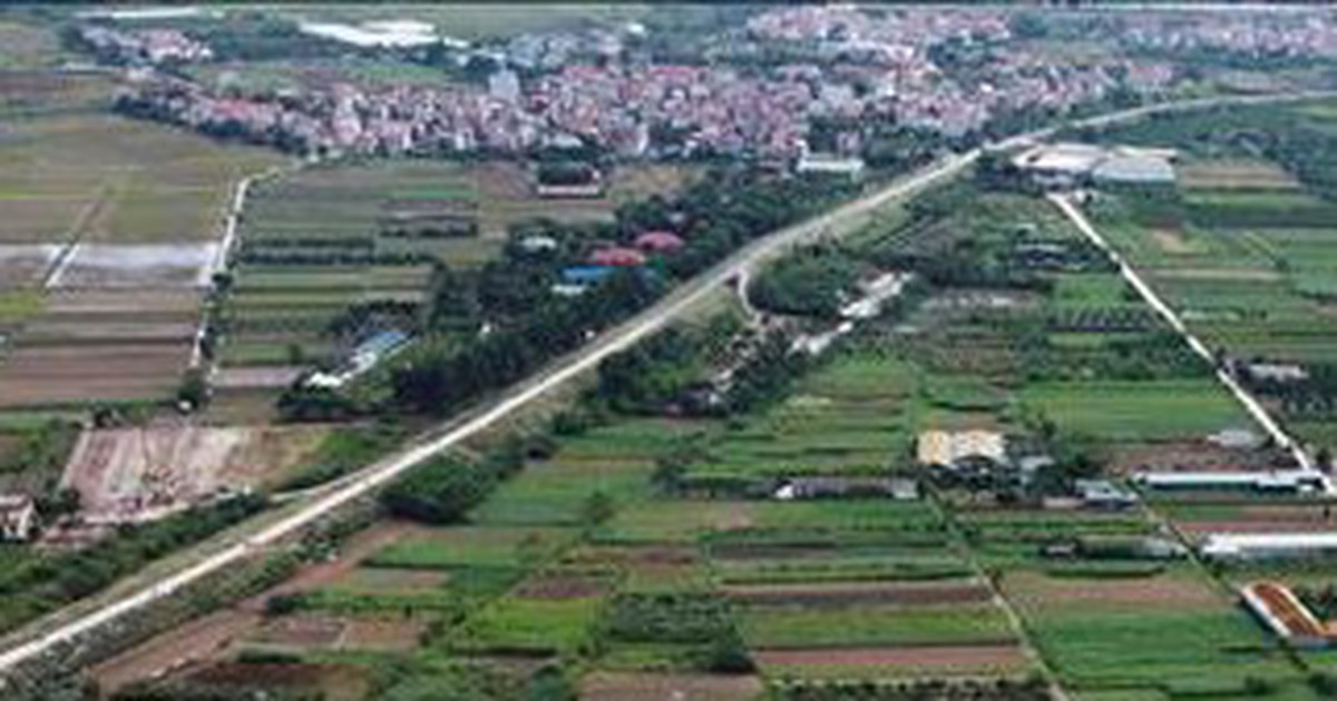 Nhận diện chiêu trò thổi giá, lừa đảo từ các phiên đấu giá đất tại Hà Nội