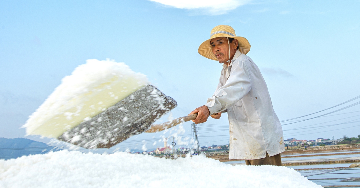 Diêm dân 'cõng nắng' mưu sinh trên cánh đồng muối cuối cùng dưới chân đèo Ngang