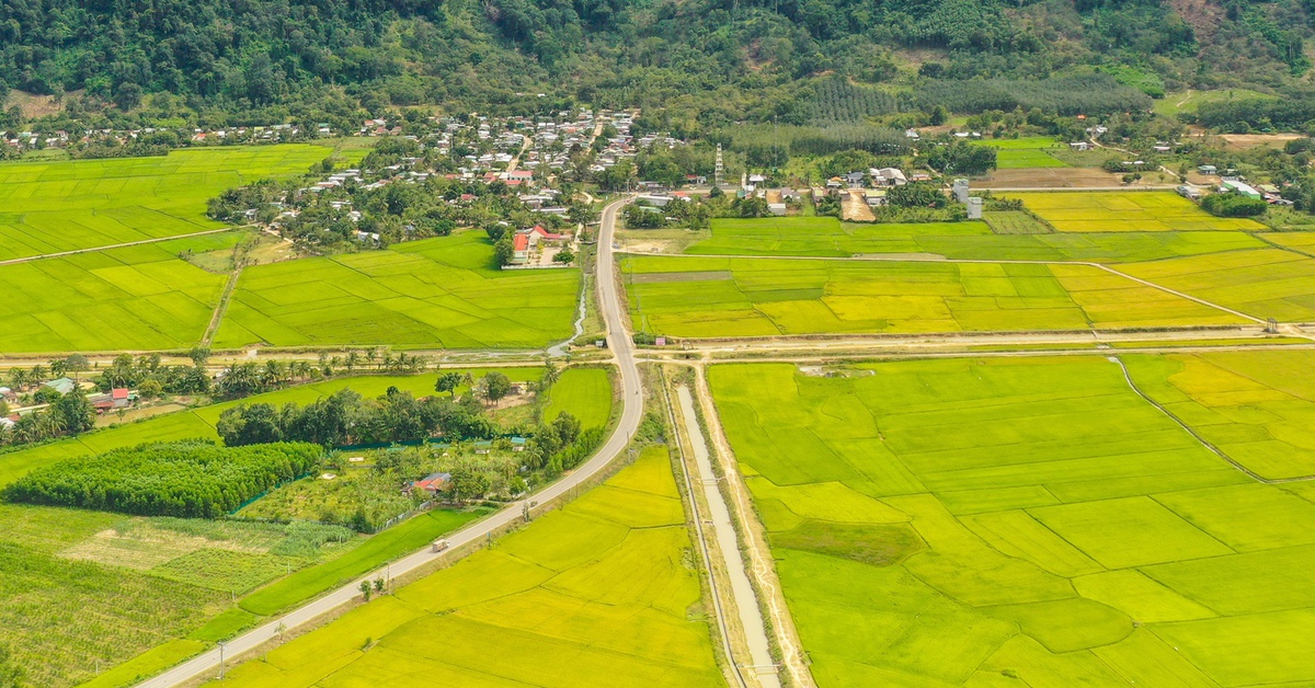Cánh đồng của bà tôi và giấc mơ nông nghiệp không lãng phí