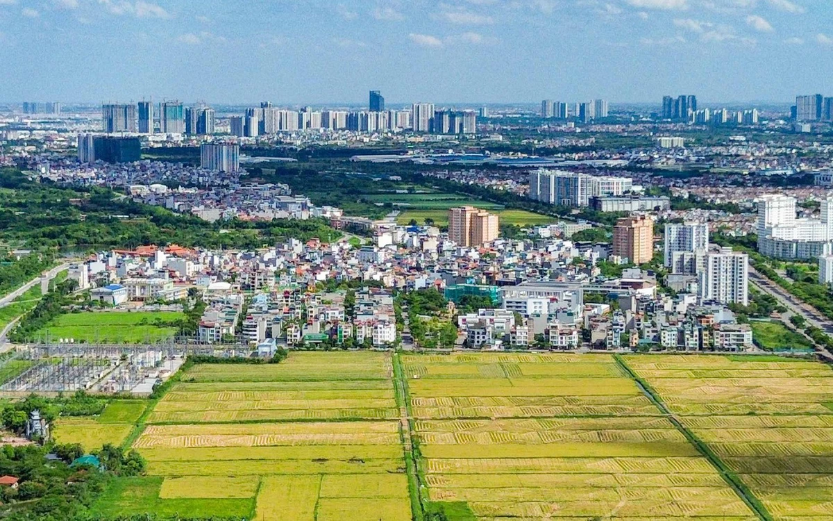 Bộ Nội vụ đề xuất chưa xem xét, miễn kỷ luật với một số vi phạm đất đai cũ