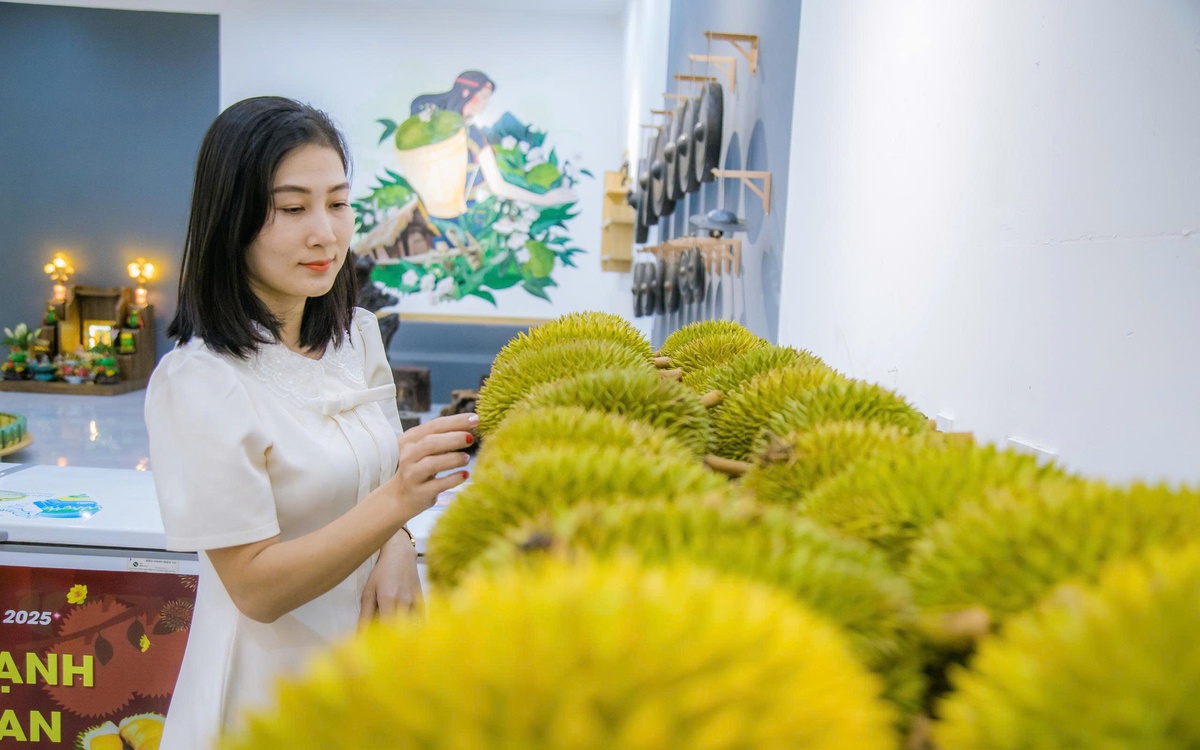 Tổ chức lại chuỗi sản xuất để giữ ngành hàng sầu riêng 'tỉ đô'