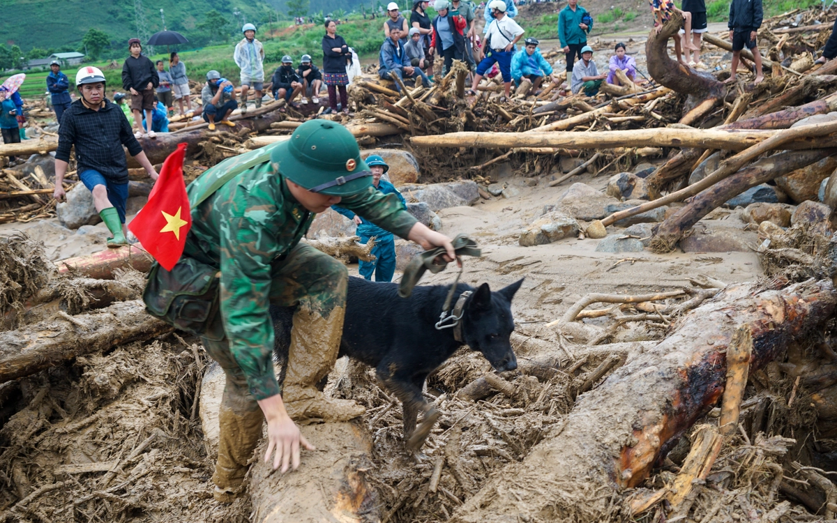 Chó nghiệp vụ bị thương vẫn dầm bùn tìm kiếm người mất tích vì lũ quét ở Lai Châu
